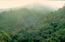 Natureza